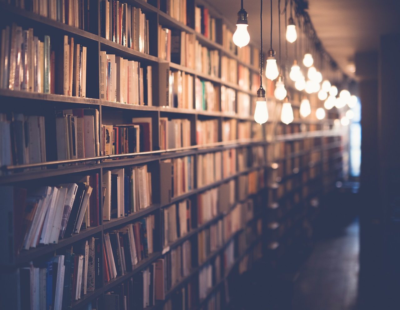 books, library, room, school, study, knowledge, education, shelf, light, bulb, books, books, books, library, library, library, library, library, school, school, school, study, study, education, education