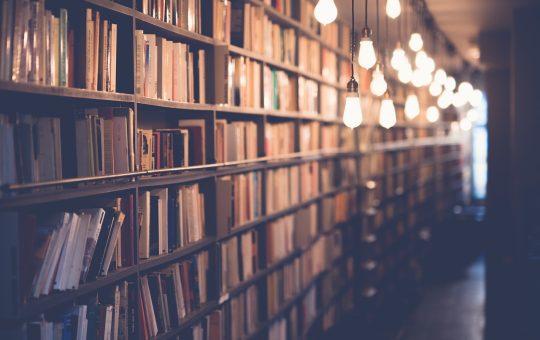 books, library, room, school, study, knowledge, education, shelf, light, bulb, books, books, books, library, library, library, library, library, school, school, school, study, study, education, education